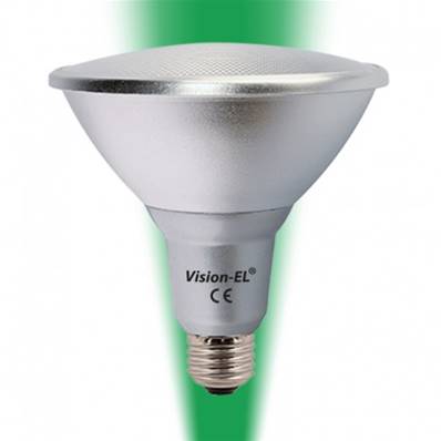 Ampoule LED E27 PAR38 16W éclairage vert