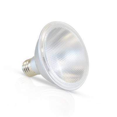Ampoule LED PAR30-E27 12W